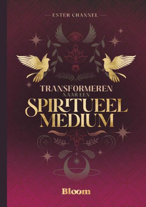 Transformeren naar een spiritueel medium -  Ester Channel (ISBN: 9789072189578)