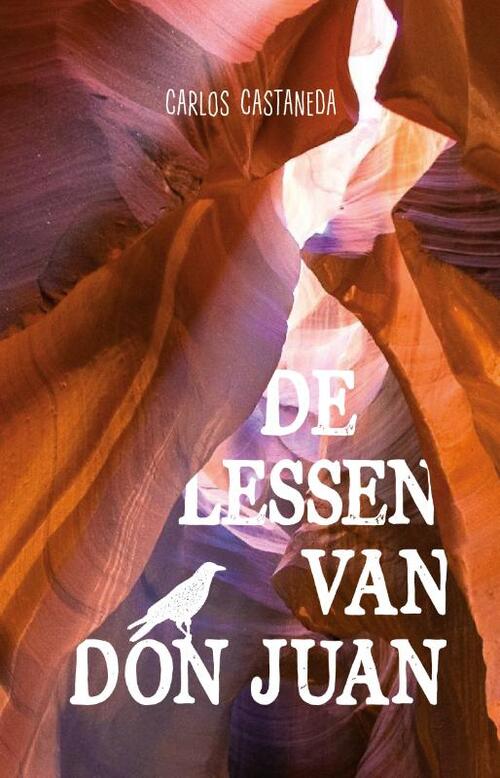 De lessen van Don Juan -  Carlos Castaneda (ISBN: 9789076681351)
