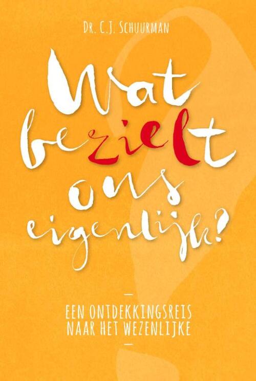 Wat bezielt ons eigenlijk? -  C.J. Schuurman (ISBN: 9789076681382)