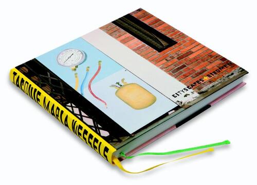 Cityscapes & Birdmen -  Jacquie Maria Wessels, Michiel van Kempen (ISBN: 9789078068662)