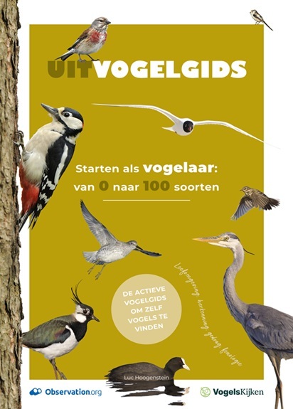 Uitvogelgids -  Luc Hoogenstein (ISBN: 9789079588589)