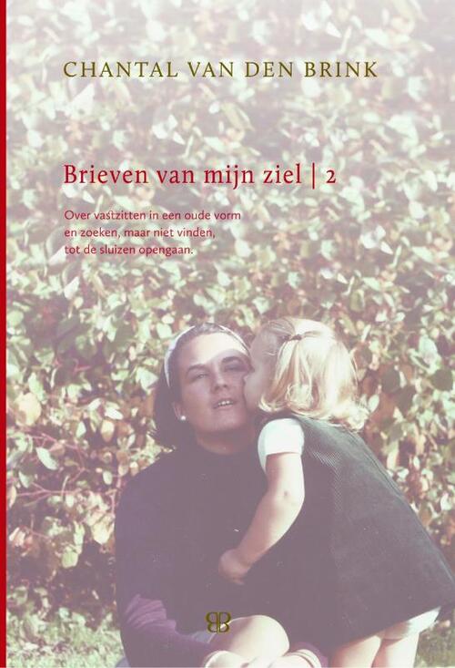 Brieven van mijn ziel - boek 2 -  Chantal van den Brink (ISBN: 9789081817219)