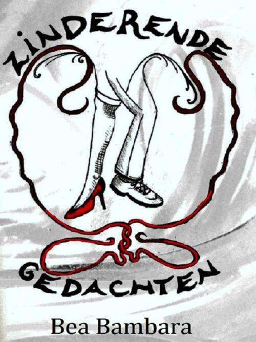 Zinderende gedachten -  Bea Bambara (ISBN: 9789082040050)