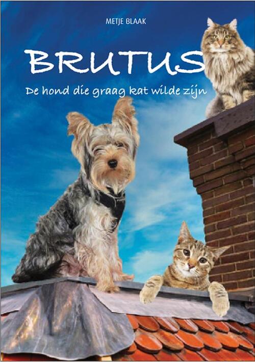 Brutus -  Metje Blaak (ISBN: 9789082187496)