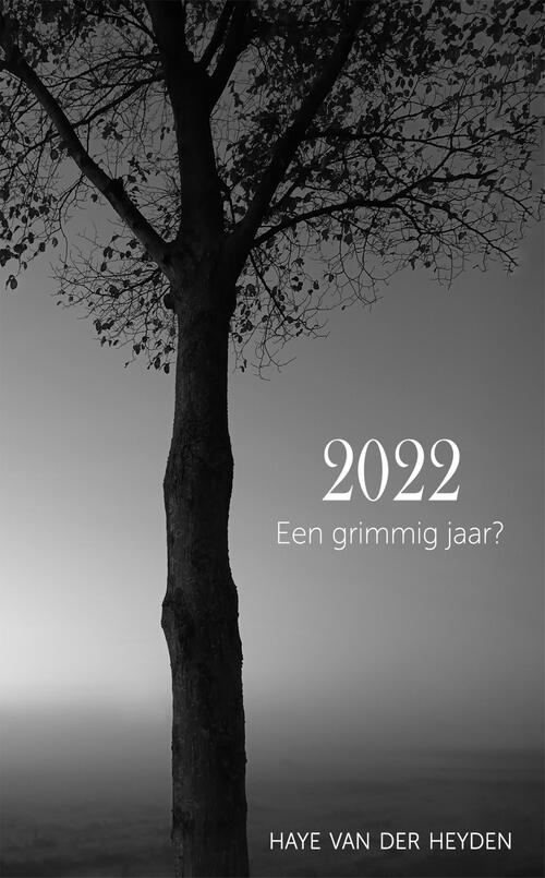 2022. Een grimmig jaar? -  Haye van der Heyden (ISBN: 9789083291369)