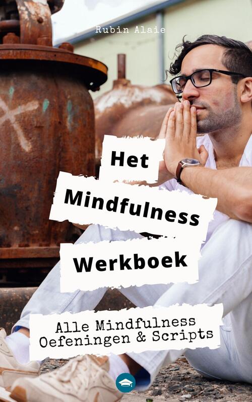 Het mindfulness werkboek