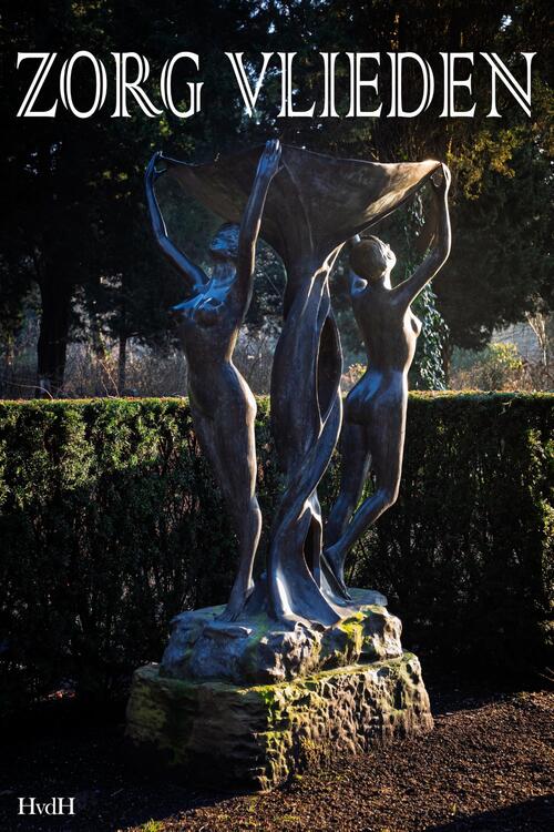 Zorg vlieden -  Haye van der Heyden (ISBN: 9789083546339)