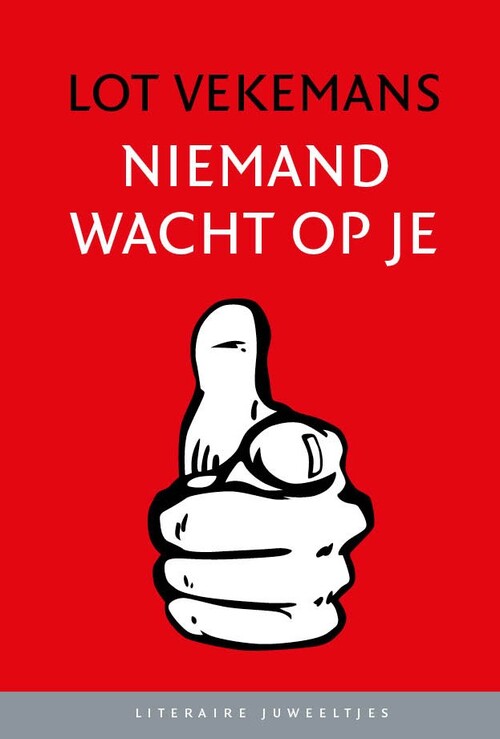 Niemand wacht op je Boek 9789085167358 Bruna