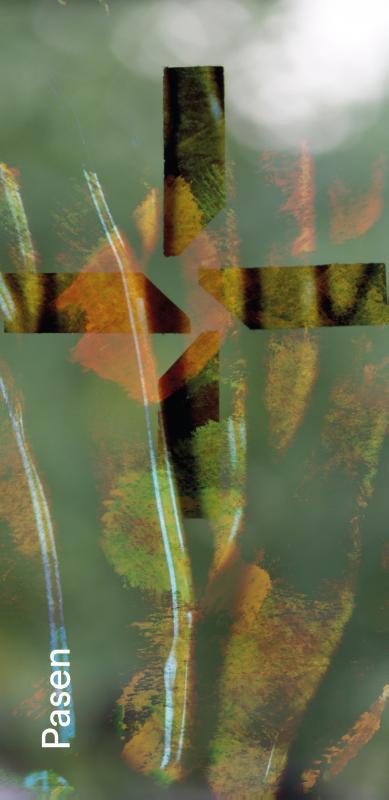 Carine Devogelaere Gebedskaart Pasen 2025 PAKKET 25 ex -   (ISBN: 9789085288497)