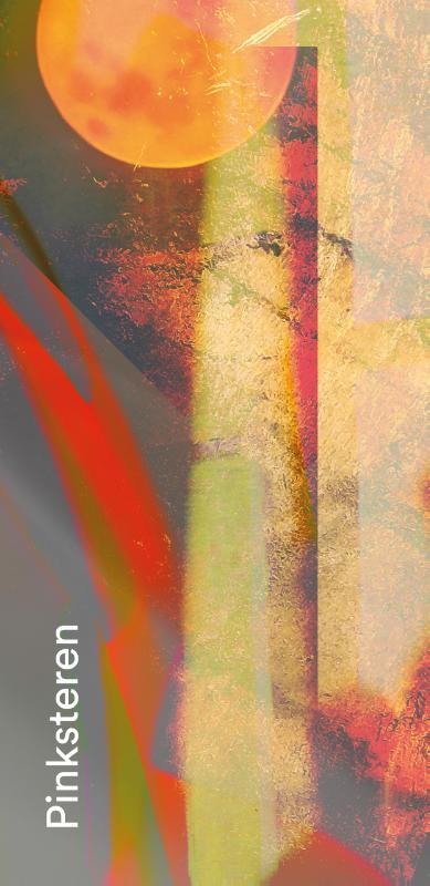 Bénédicte Lemmelijn Gebedskaart Pinksteren 2025 PAKKET 25 ex -   (ISBN: 9789085288503)