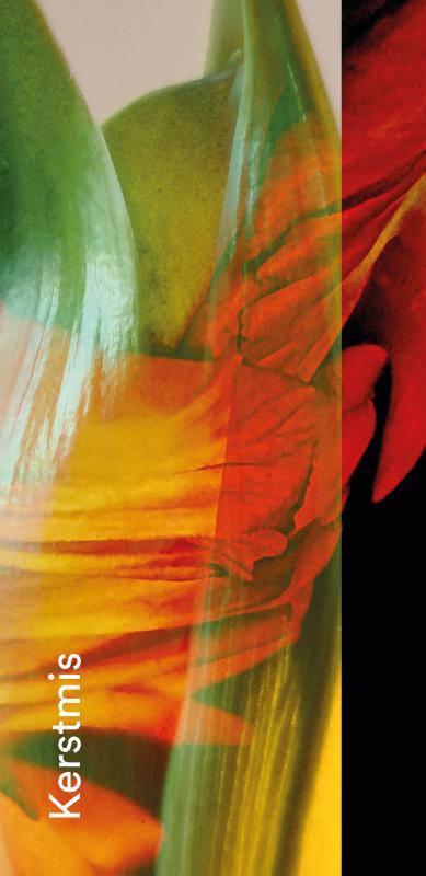 Katie Velghe Gebedskaart Kerstmis 2026 PAKKET 25 ex -   (ISBN: 9789085288534)