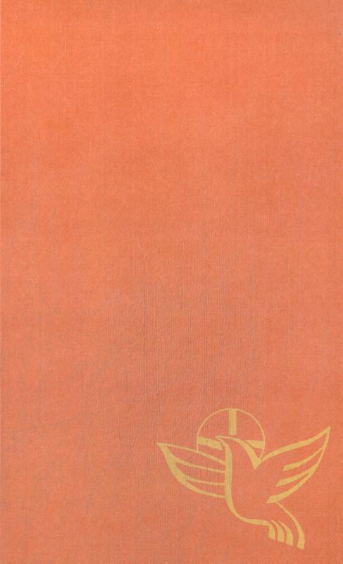 Icl Orde van dienst voor de vormselliturgie -   (ISBN: 9789085288862)