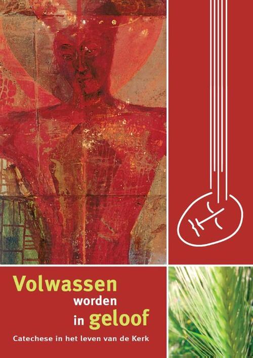 Volwassen worden in geloof -  Bisschoppen van België (ISBN: 9789085288930)
