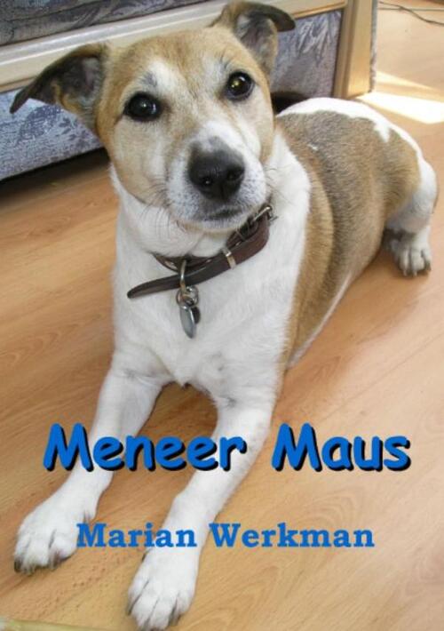 Meneer maus -  Marian Werkman (ISBN: 9789085709381)