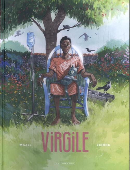 Virgile -  Zidrou (ISBN: 9789086772094)