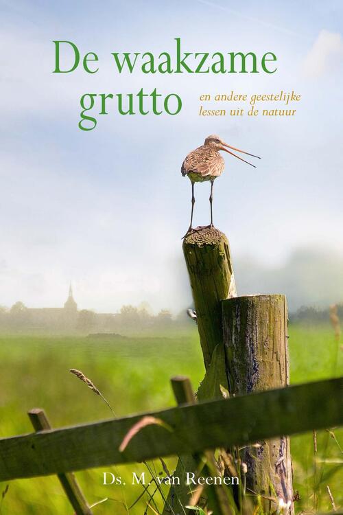 De waakzame grutto -  M. van Reenen (ISBN: 9789087187569)