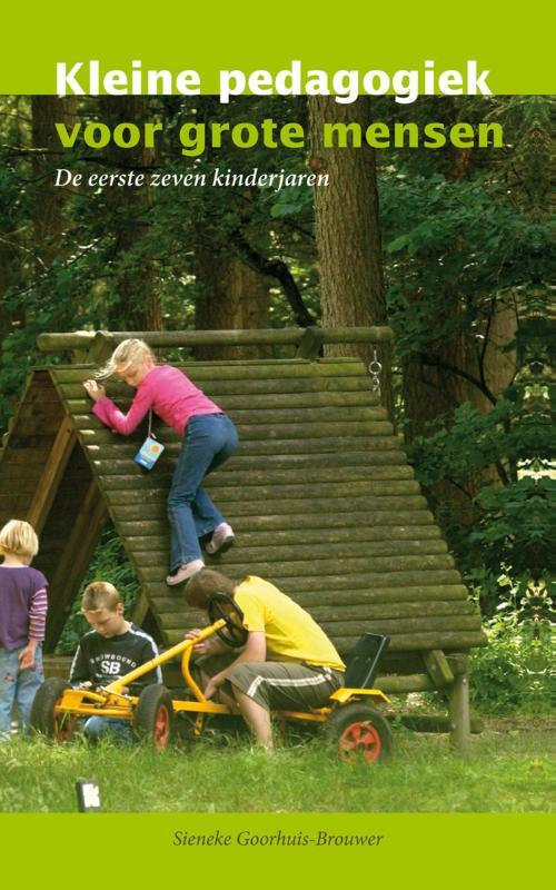 Kleine pedagogiek voor grote mensen -  Sieneke Goorhuis-Brouwer (ISBN: 9789088504716)