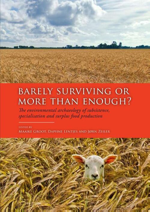 Barely surviving or more than enough?