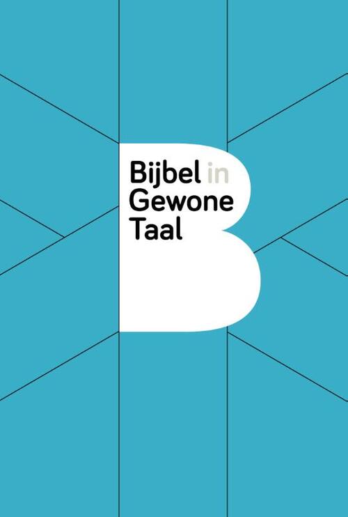 NBG BGT Paperback (blauw) -   (ISBN: 9789089123602)