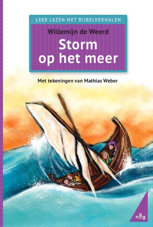 Storm op het meer -  Willemijn de Weerd (ISBN: 9789089123664)