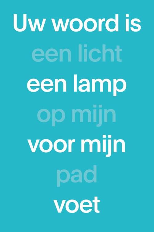 NBG NBV1 Paperback (blauw) -   (ISBN: 9789089124463)