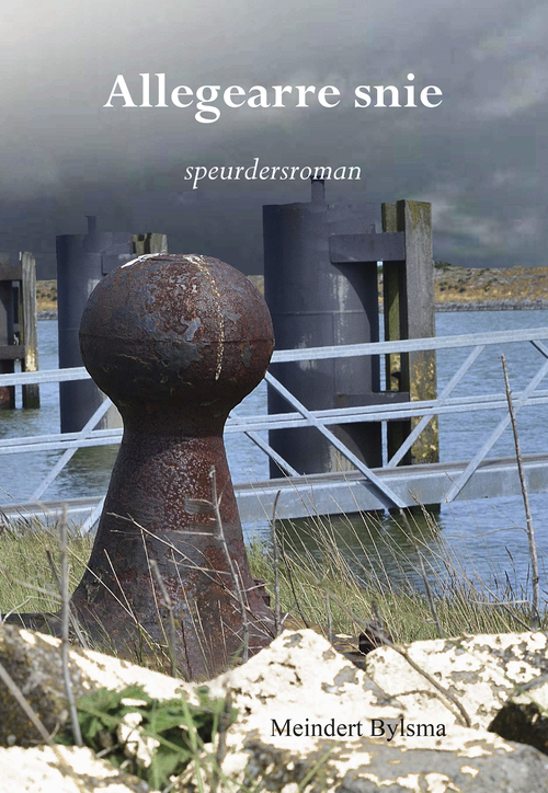 Allegearre snie -  Meindert Bylsma (ISBN: 9789089547712)