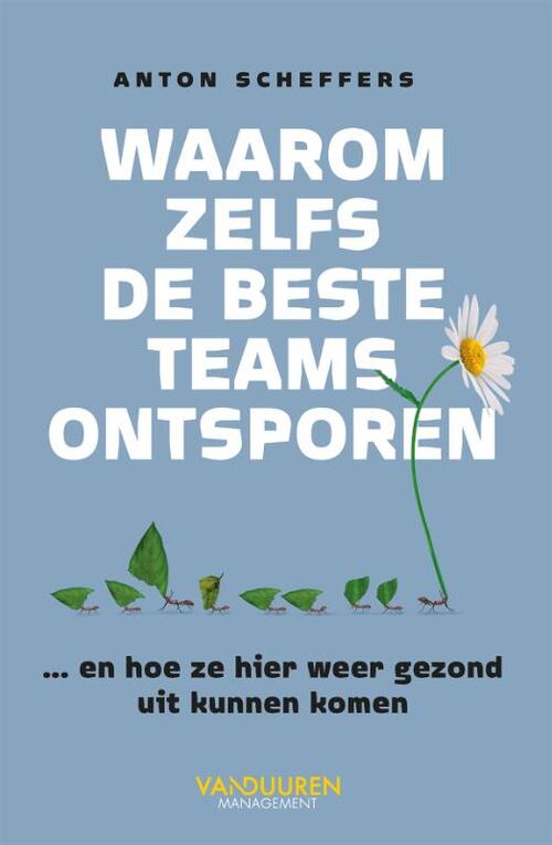 Waarom zelfs de beste teams ontsporen -  Anton Scheffers (ISBN: 9789089655271)