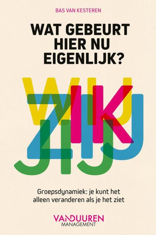 Wat gebeurt hier nu eigenlijk? -  Bas van Kesteren (ISBN: 9789089656483)