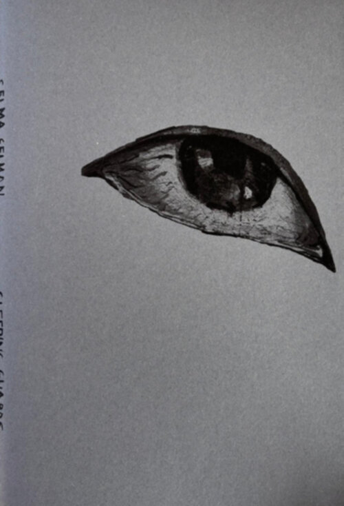 Selma Selman -  Arnisa Zeqo (ISBN: 9789090396583)