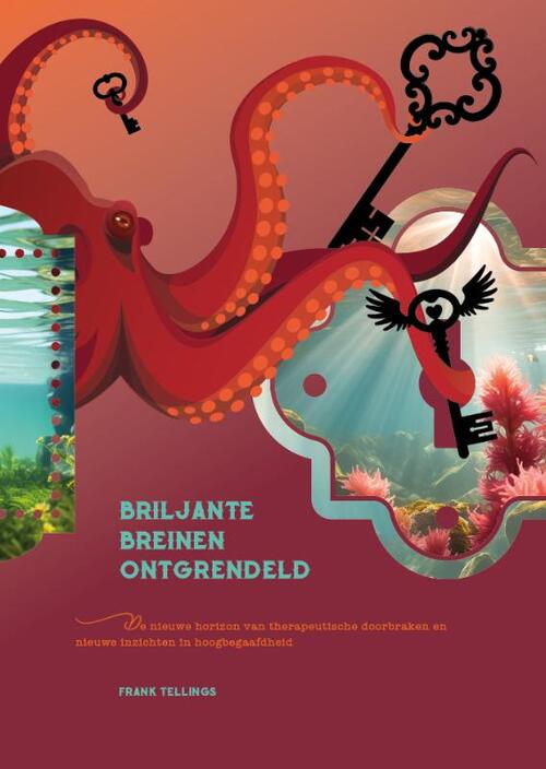 Briljante breinen ontgrendeld -  Frank Tellings (ISBN: 9789090411125)