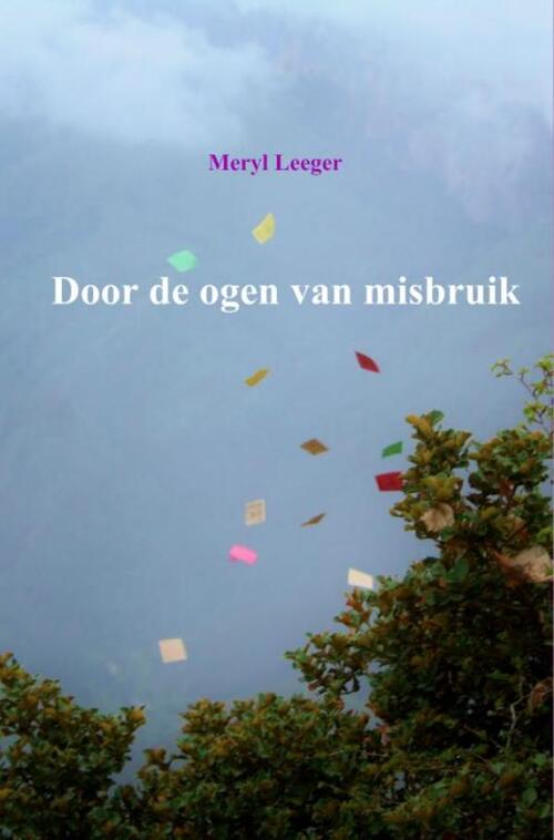 Door de ogen van misbruik -  Meryl Leeger (ISBN: 9789402112191)