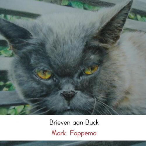 Brieven aan Buck -  Mark Foppema (ISBN: 9789402154559)