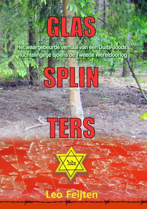 Glassplinters -  Leo Feijten (ISBN: 9789402170542)