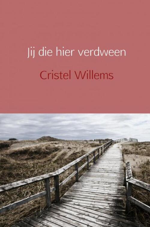 Jij die hier verdween -  Cristel Willems (ISBN: 9789402180800)