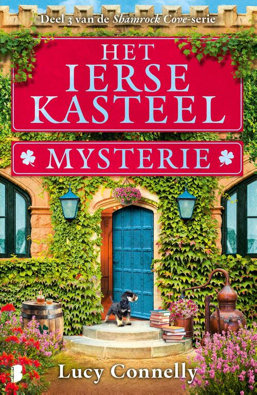 Lucy Connelly Het Ierse kasteelmysterie -   (ISBN: 9789402328172)