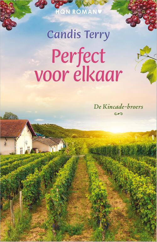 Perfect voor elkaar -  Candis Terry (ISBN: 9789402570380)