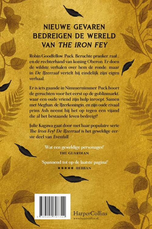 The Iron Fey: Evenfall 1 - De IJzerraaf