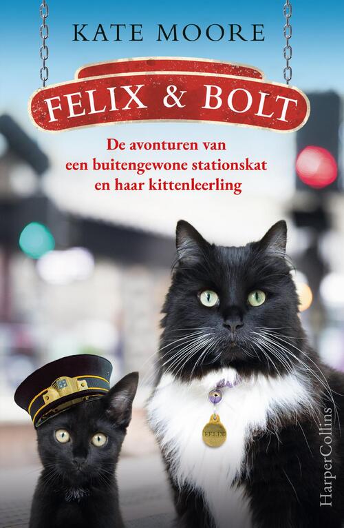 Felix & Bolt -  Kate Moore (ISBN: 9789402766035)