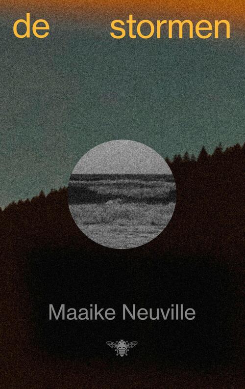 De Stormen -  Maaike Neuville (ISBN: 9789403133096)