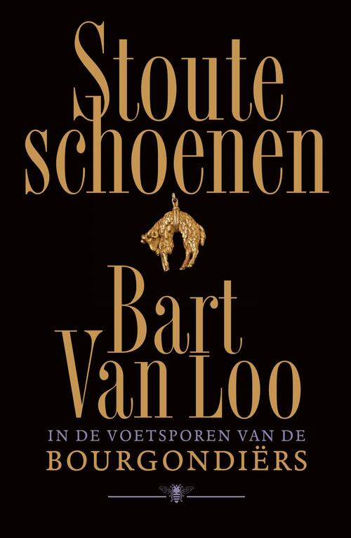 Stoute schoenen -  Bart van Loo (ISBN: 9789403133461)
