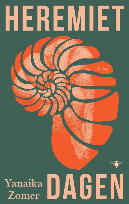 Heremietdagen -  Yanaika Zomer (ISBN: 9789403136424)