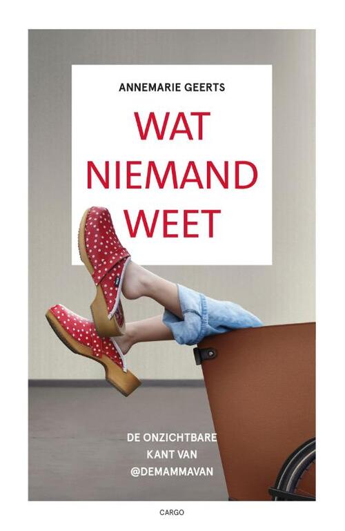 Wat niemand weet -  Annemarie Geerts (ISBN: 9789403138138)
