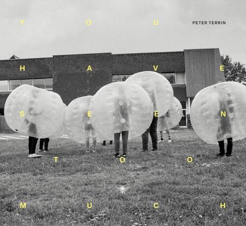 You have seen too much -  Peter Terrin (ISBN: 9789403139777)