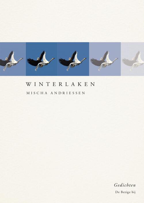 Winterlaken -  Mischa Andriessen (ISBN: 9789403154206)