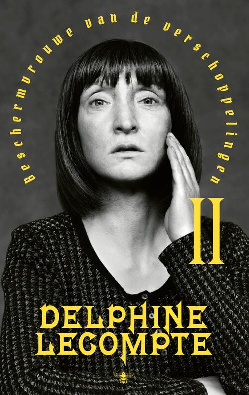 Beschermvrouwe van de verschoppelingen -  Delphine Lecompte (ISBN: 9789403159119)