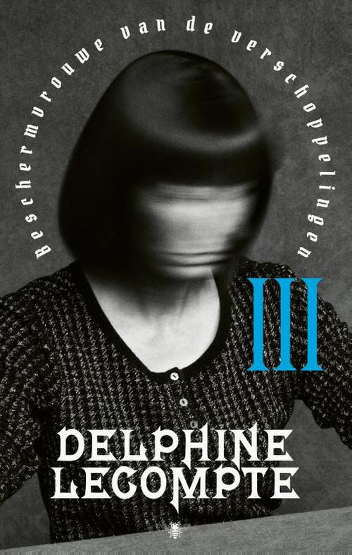 Beschermvrouwe van de verschoppelingen -  Delphine Lecompte (ISBN: 9789403175010)