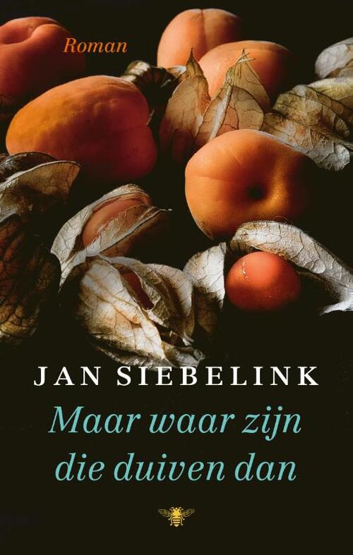 Maar waar zijn die duiven dan -  Jan Siebelink (ISBN: 9789403182902)
