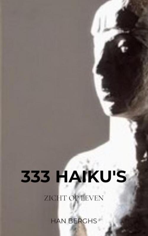 333 Haiku's
