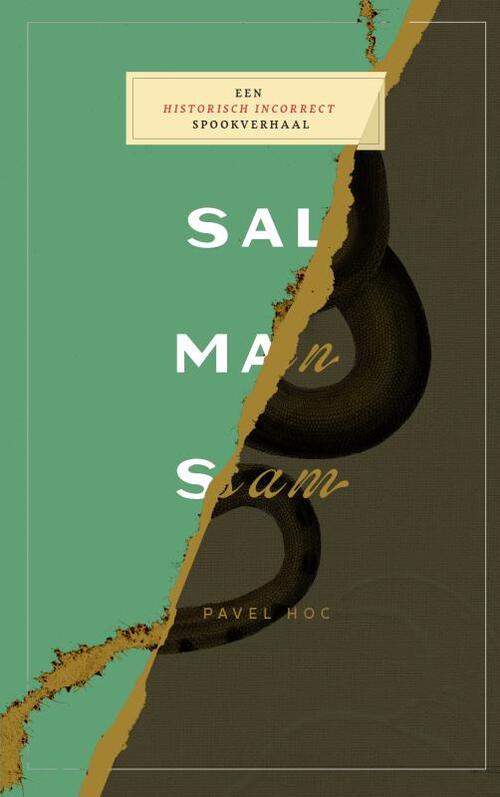 Pavel Hoc Salmansam -   (ISBN: 9789403682884)