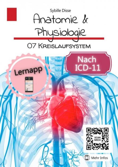Anatomie & Physiologie Band 07: Kreislaufsystem